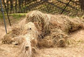 پاورپوینت درمورد استتار