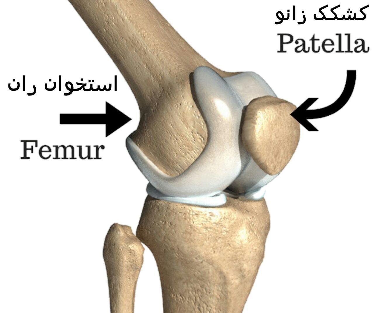 دانلود پاورپوینت آشنایی با کندرومالاسی پاتلا